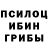 Псилоцибиновые грибы мухоморы Matthew Cubbage