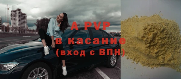 прущие грибы Дмитровск