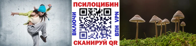 Галлюциногенные грибы Psilocybe  Купить закладки  Маркс 